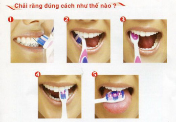 Đánh răng nhiều có tốt không? << Click xem ngay